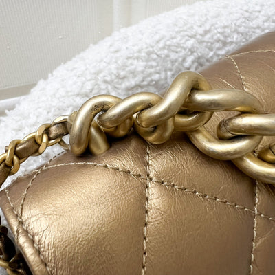 Chanel Seasonal Flap Bag in Gold Shiny Calfskin / Caviar and AGHW