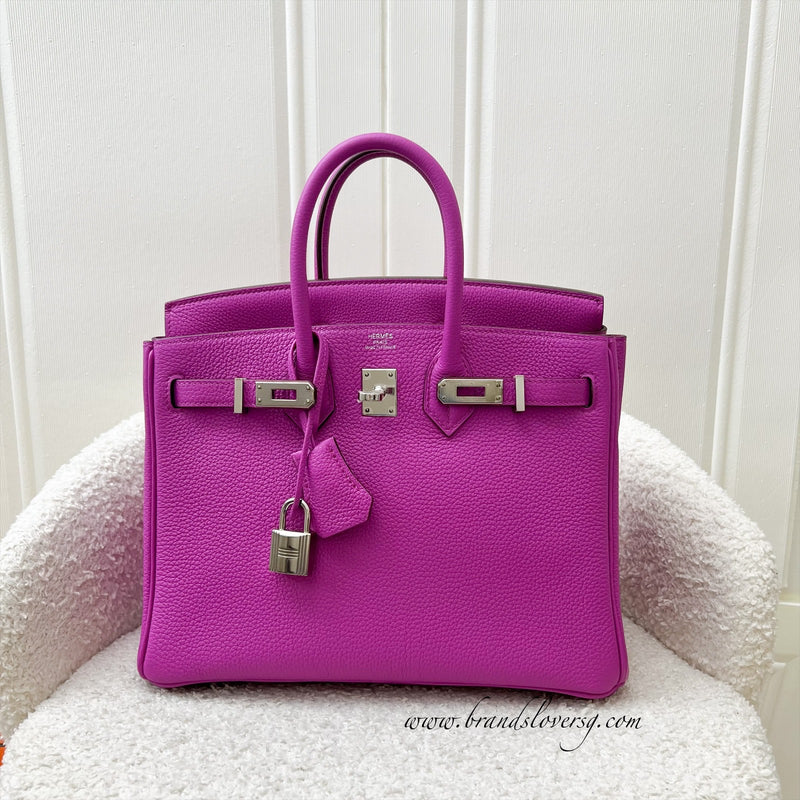 Hermes Birkin 25 in Magnolia Togo Leather and PHW