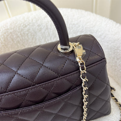 Chanel Small (24cm) Coco Handle in Dark Brown (Almost Black) Caviar and LGHW