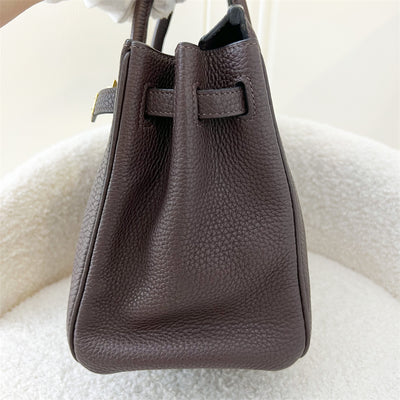 Hermes Birkin 25 in Chocolate Togo Leather and GHW