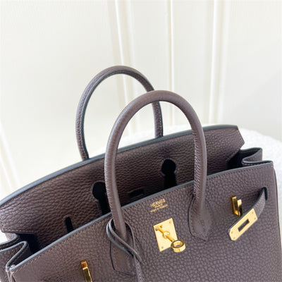 Hermes Birkin 25 in Chocolate Togo Leather and GHW