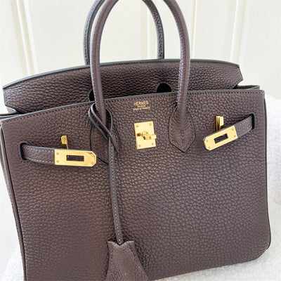 Hermes Birkin 25 in Chocolate Togo Leather and GHW