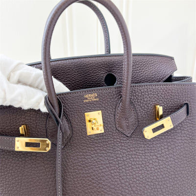 Hermes Birkin 25 in Chocolate Togo Leather and GHW